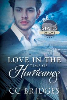 Love in the Time of Hurricanes Read online