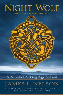 Night Wolf: A Novel of Viking Age Ireland (The Norsemen Saga Book 5) Read online