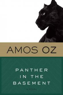 Panther in the Basement Read online