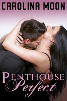 Penthouse Perfect: BBW Erotic Romance Read online