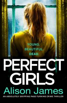 Perfect Girls: An absolutely gripping page-turning crime thriller Read online