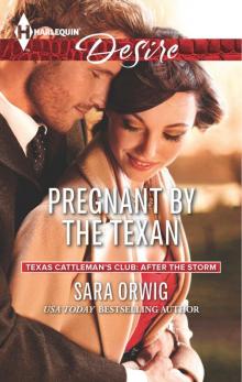 Pregnant by the Texan Read online