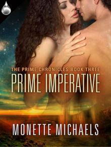 Prime Imperative (The Prime Chronicles Book 3) Read online