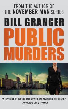 Public Murders Read online