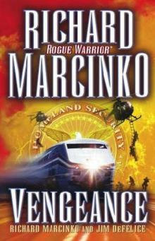 RW12 - Vengeance Read online