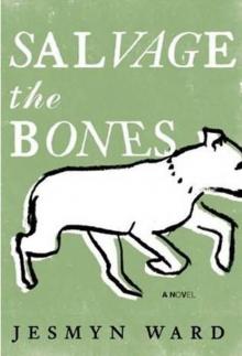 Salvage the Bones Read online