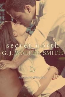 Secret North: Book 4 of The Wishes Series Read online