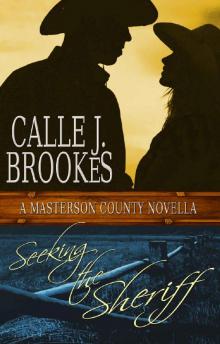Seeking the Sheriff (Masterson County Book 1) Read online
