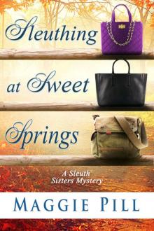 Sleuthing at Sweet Springs (The Sleuth Sisters Mysteries Book 4) Read online
