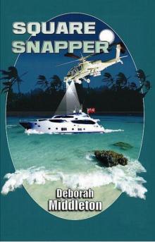 Square Snapper (Detective Inspector Burgess) Read online