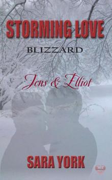 StormingLove Blizzard JensElliot Read online