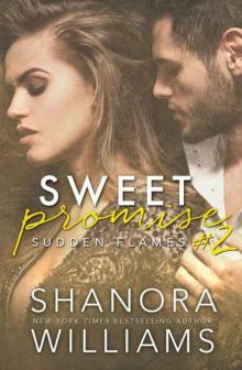Sudden Flames (Sweet Promise #2)