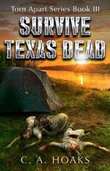 Survive Texas Dead Read online