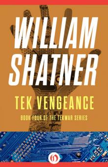 Tek Vengeance Read online