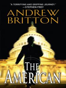 The American Read online