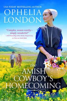 The Amish Cowboy's Homecoming Read online