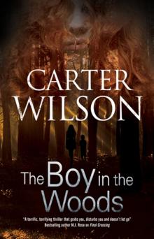 The Boy in the Woods Read online