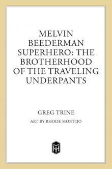 The Brotherhood of the Traveling Underpants Read online