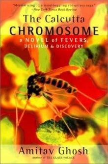 The Calcutta Chromosome Read online