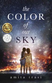 The Color of our Sky: A novel set in India