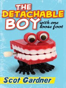 The Detachable Boy Read online