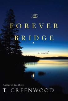 The Forever Bridge Read online