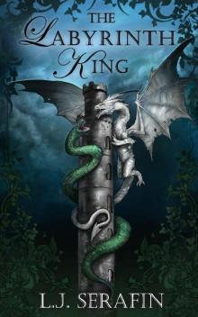 The Labyrinth King (The Labyrinth Series Book 1)