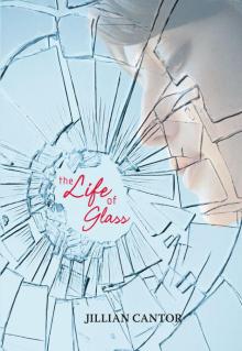 The Life of Glass Read online