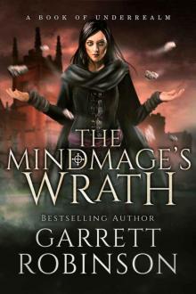 The Mindmage's Wrath: A Book of Underrealm (The Academy Journals 2) Read online