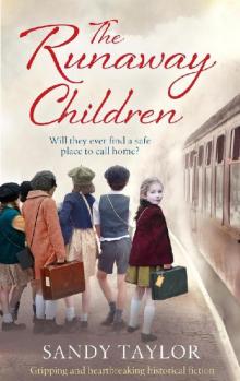 The Runaway Children Read online