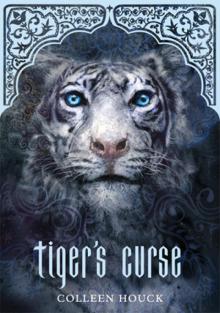 Tiger's Curse Read online