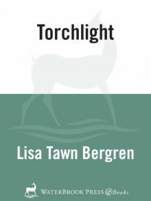 Torchlight Read online