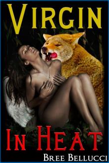 Virgin In Heat (The Beast's Forced Mating) Read online