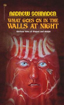 What Goes On In The Walls At Night: Thirteen tales of disgust and delight