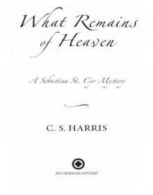 What Remains of Heaven Read online