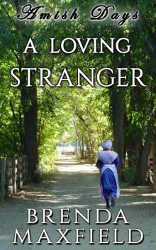 Amish Days: A Loving Stranger: An Amish Romance Short Story (Hollybrook Amish Romance) Read online