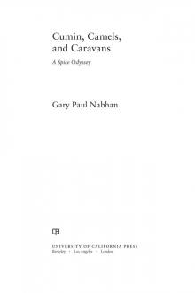 Cumin, Camels, and Caravans