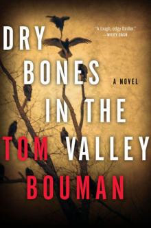 Dry Bones in the Valley: A Novel
