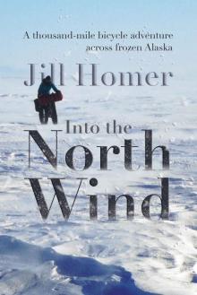 Into the North Wind: A thousand-mile bicycle adventure across frozen Alaska Read online