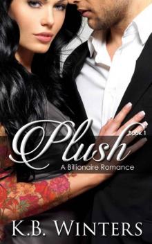 Plush Book 1: A Billionaire Romance Read online