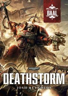 Shield of Baal: Deathstorm Read online