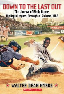The Journal of Biddy Owens, the Negro Leagues, Birmingham, Alabama, 1948 Read online