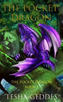 The Pocket Dragon: The Pocket Dragon: Book 1