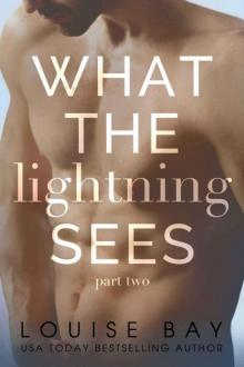 What the Lightning Sees: Part Two Read online