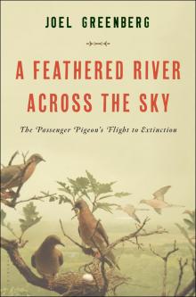 A Feathered River Across the Sky Read online