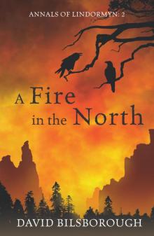 A Fire in the North Read online