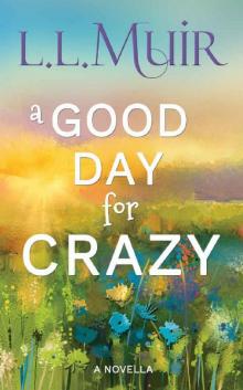 A Good Day for Crazy: A Time Travel Mystery