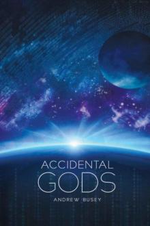Accidental Gods Read online