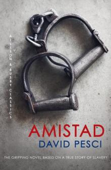 Amistad Read online