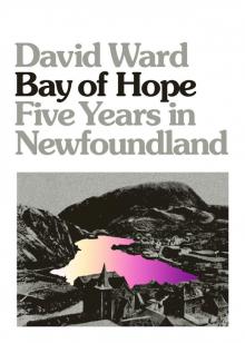 Bay of Hope Read online